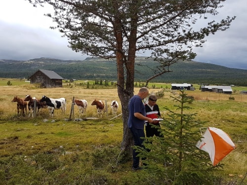 Sesongen er på hell